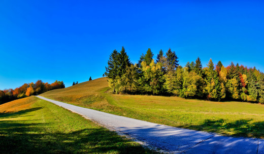 287432 (a): :2580x1500